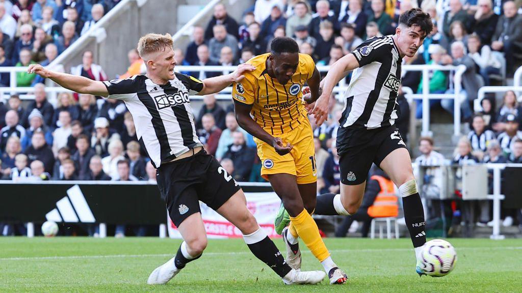 Brighton vs Newcastle Utd